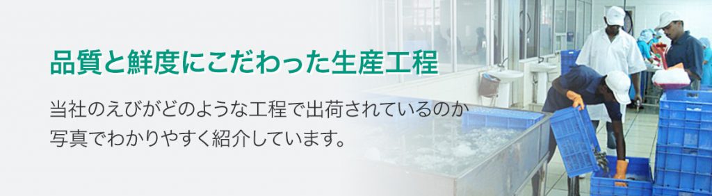 品質と鮮度にこだわった生産工程